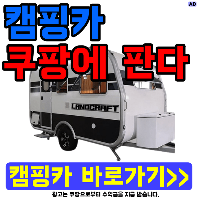 캠핑카 주차금지, 캠핑카는 자동차일까?